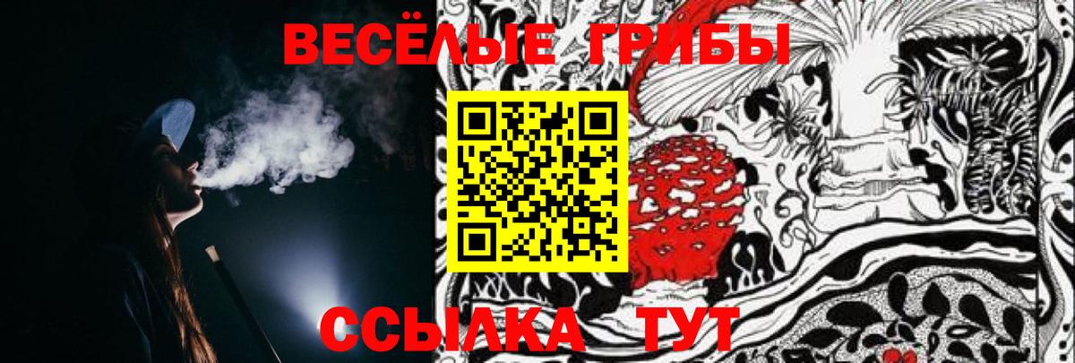 Кумертау  Псилоцибиновые грибы прущие грибы  Вход с VPN  где продают наркотики  Псилоцибиновые грибы ЛСД 