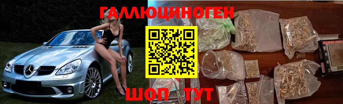 Галлюциногенные грибы прущие грибы Кумертау